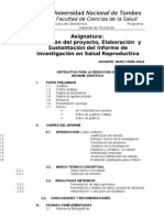 Estructura Del Informe Investigacion Pet