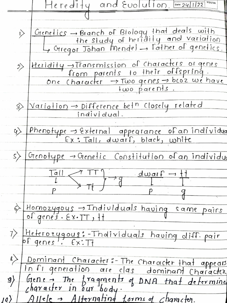 Heredity Notes 22-Oct-2024 20-24-27 | PDF