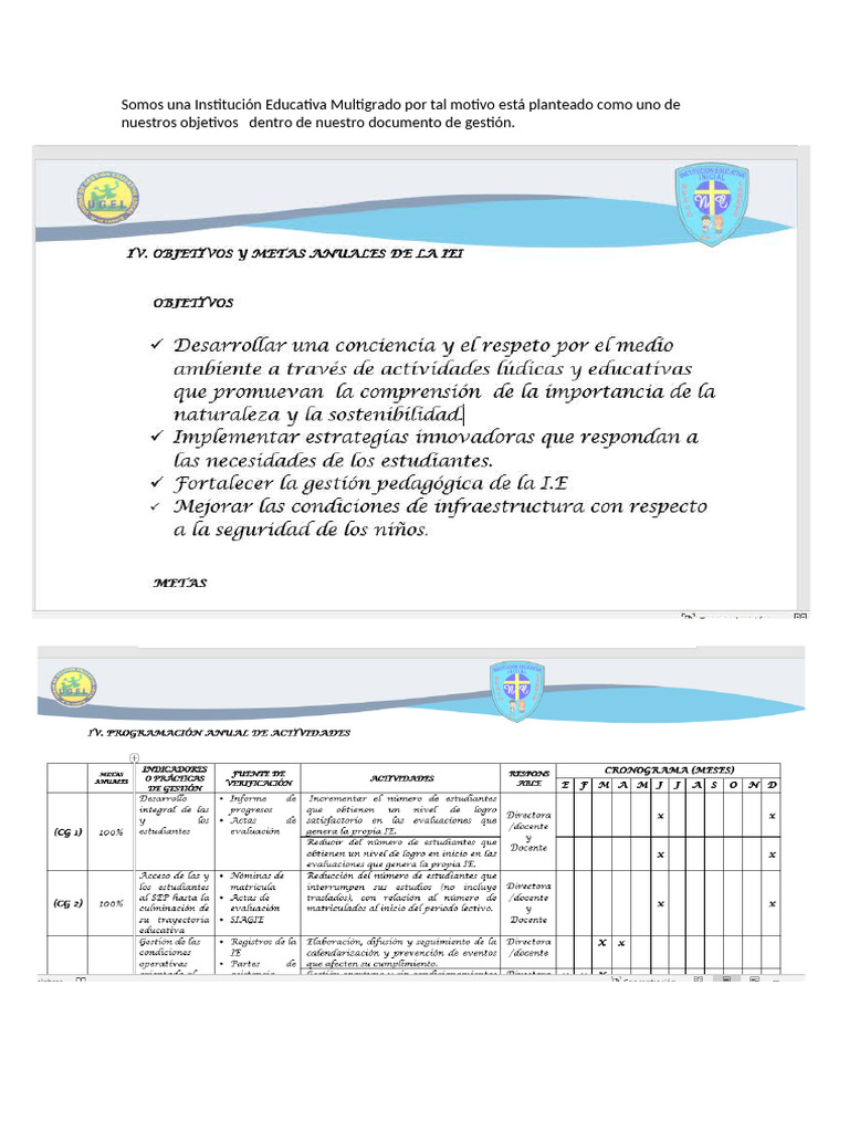 Implementacion Del PEAI NUEVO CAÑETE Inicial | PDF