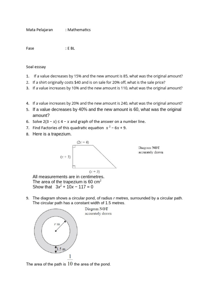 Mathematics Essay Questions and Problems | PDF