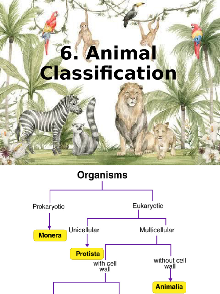 Animal Classification Overview and Benefits | PDF | Vertebrates | Zoology
