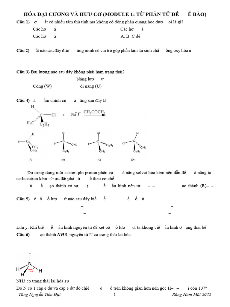 Cuối kì Y22 | PDF