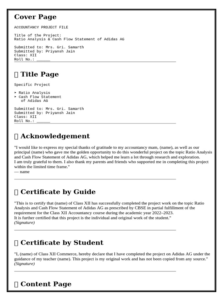Accountancy Project | PDF | Adidas | Business