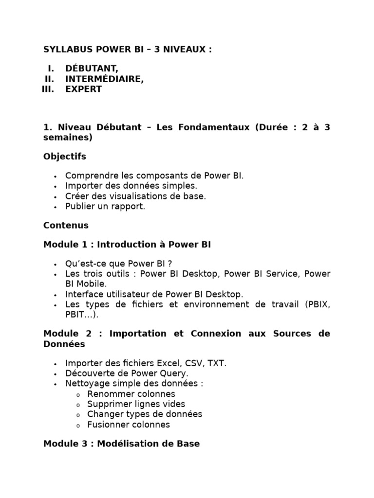 Syllabus Power BI : Débutant à Expert | PDF | Informatique | Logiciel