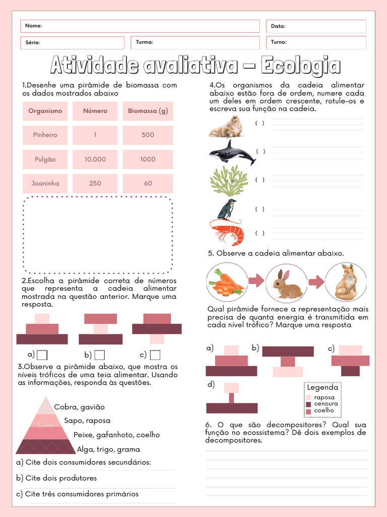 Atv Pirâmides | PDF
