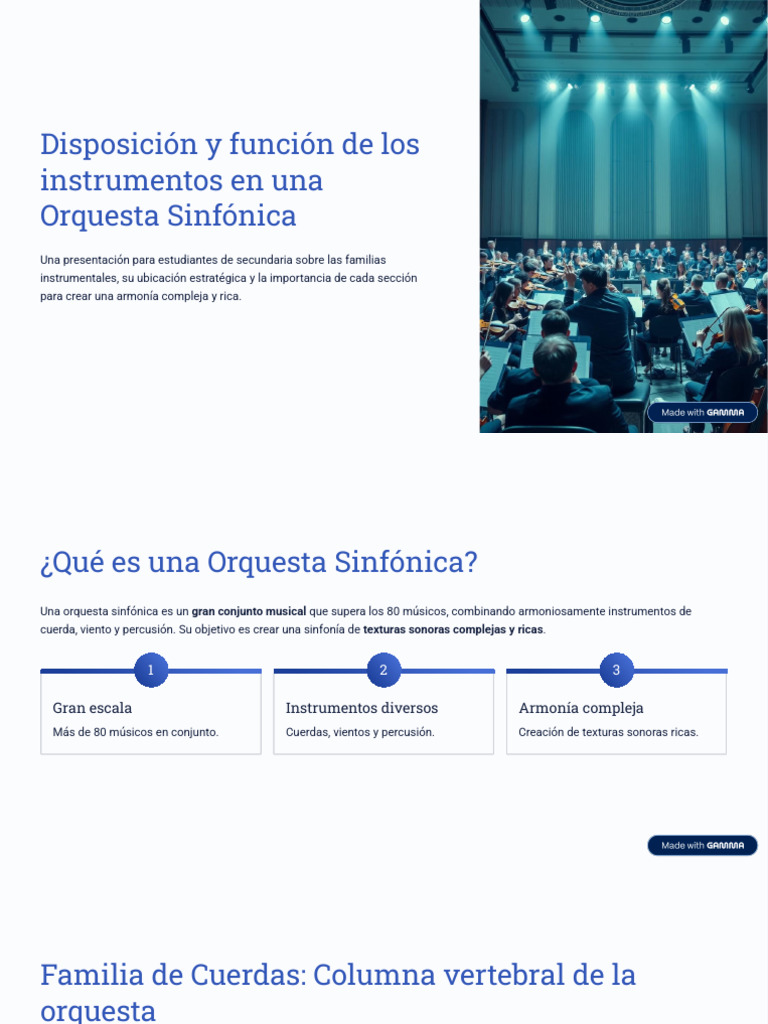 Disposicion y Funcion de Los Instrumentos en Una Orquesta Sinfonica ...
