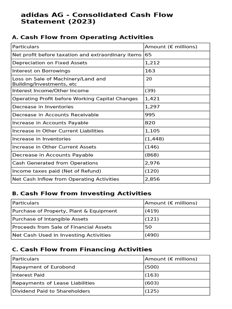 adidas AG 2023 Cash Flow Statement | PDF