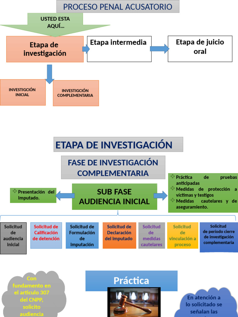 Desarrollo de La Audiencia Inicial | PDF | Mandato | Queja