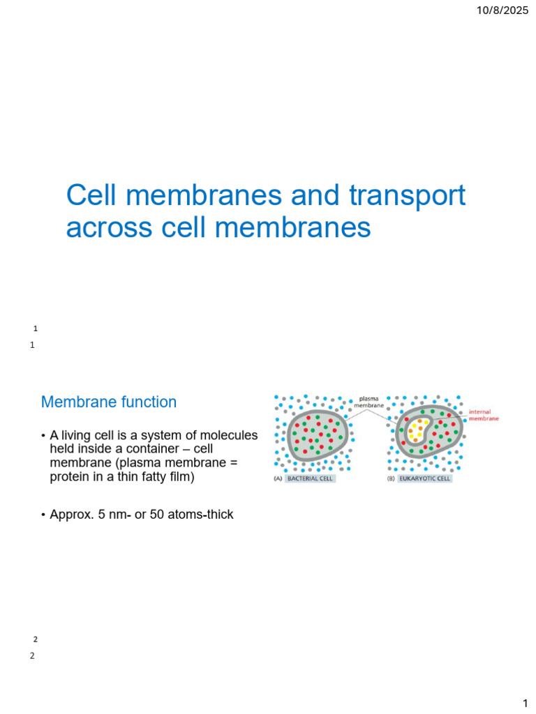 Cell Membrane Structure and Transport | PDF | Cell Membrane | Lipid Bilayer