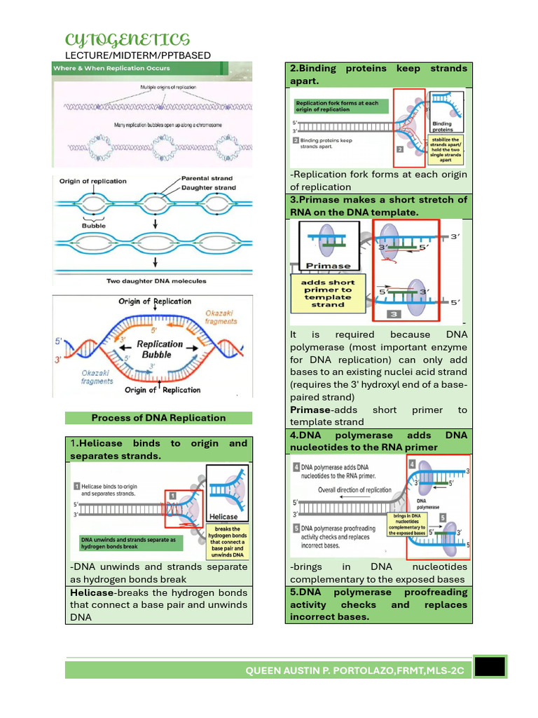 Cytogen Portolazo Mls2c Central20dogma 2 | PDF | Rna | Messenger Rna