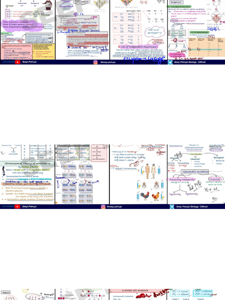 Genetics Mind Map by Seep Pahuja - 20250316 - 140045 - 0000 | PDF