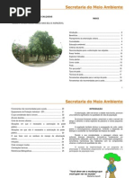 Arborização de calçadas