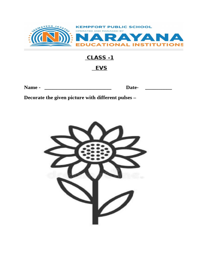 CLASS 1 EVS Healthy Food Work Sheet | PDF