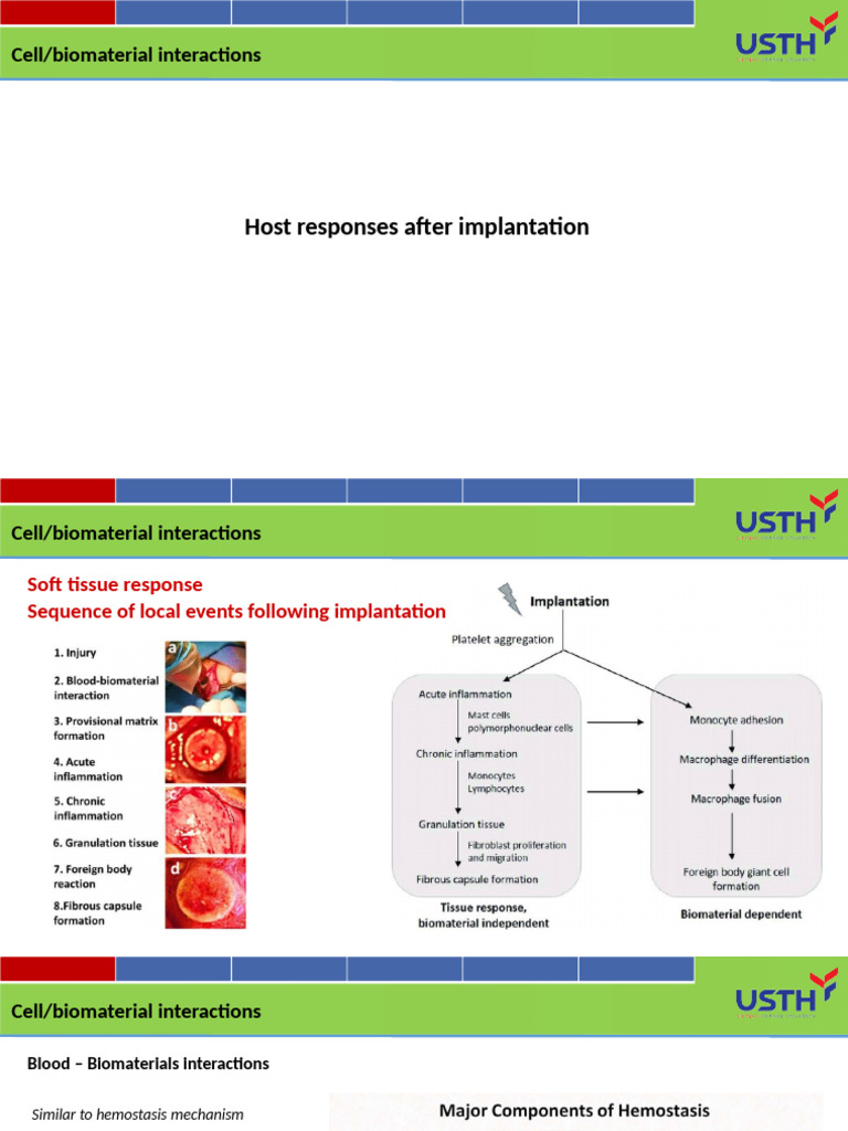 Lecture 6 - Biocompatibility - Host Responses | PDF | Inflammation ...