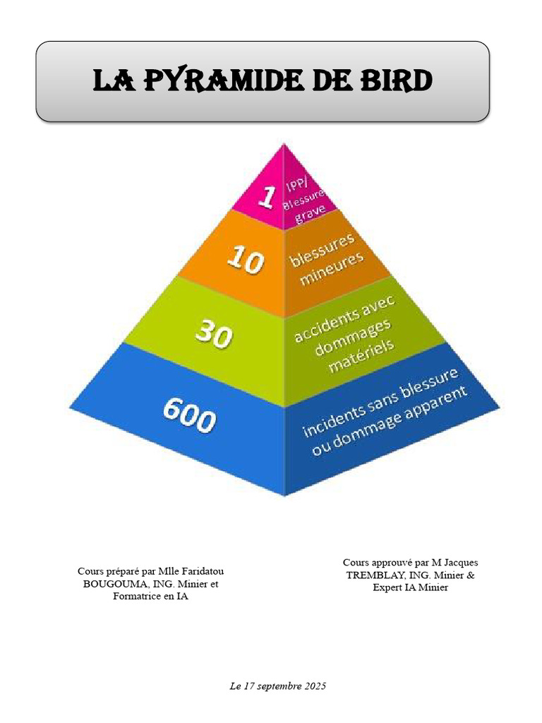 Pyramide de Bird : Outil de sécurité au travail | PDF | Gestion des ...