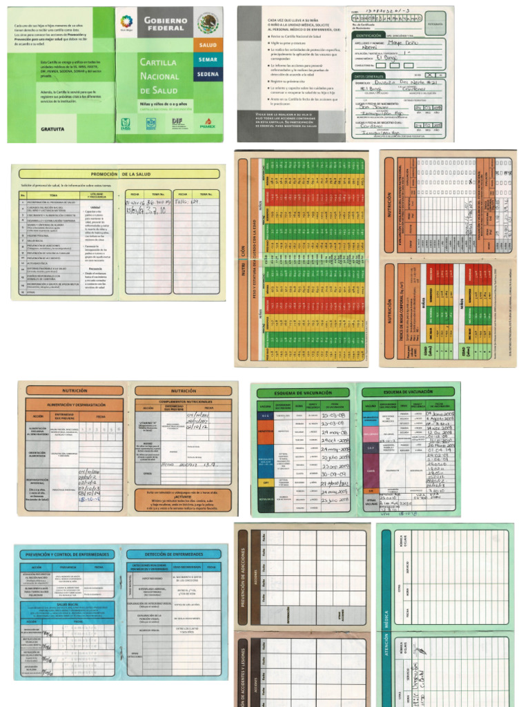 Carnet | PDF