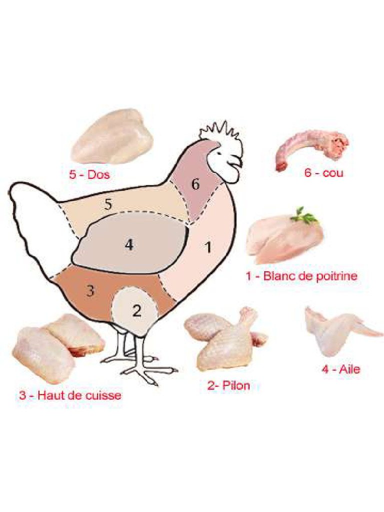 Image Poulet | PDF