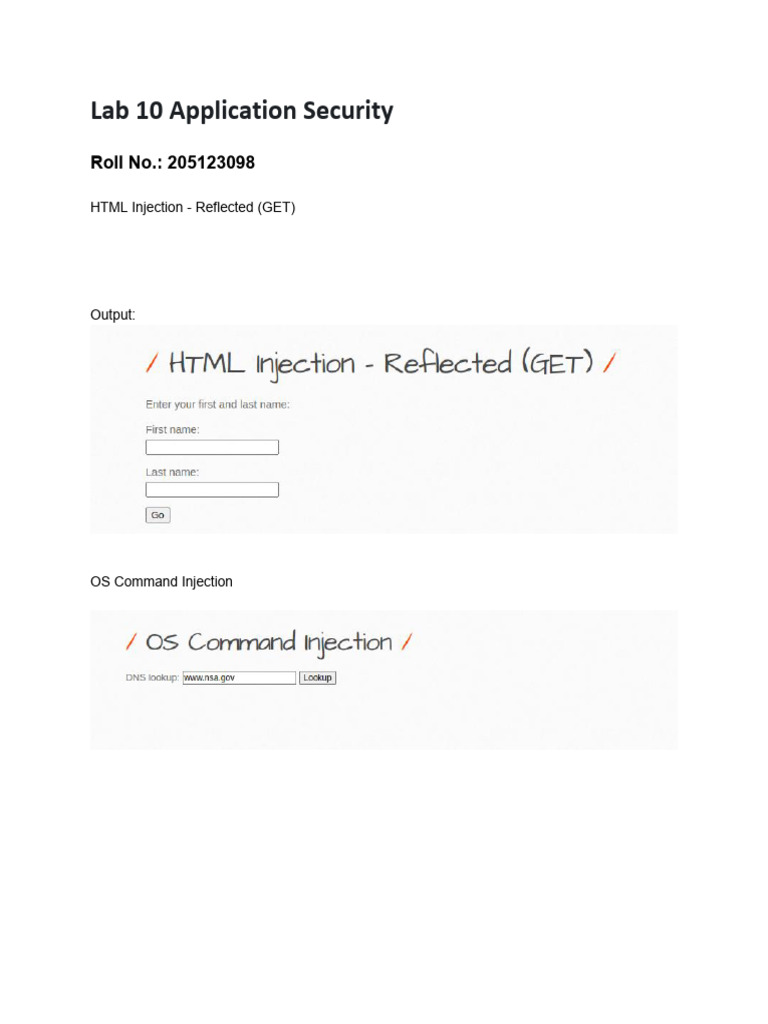 Lab 10 Application Security | PDF