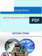 Aula 9 - Ecossistema