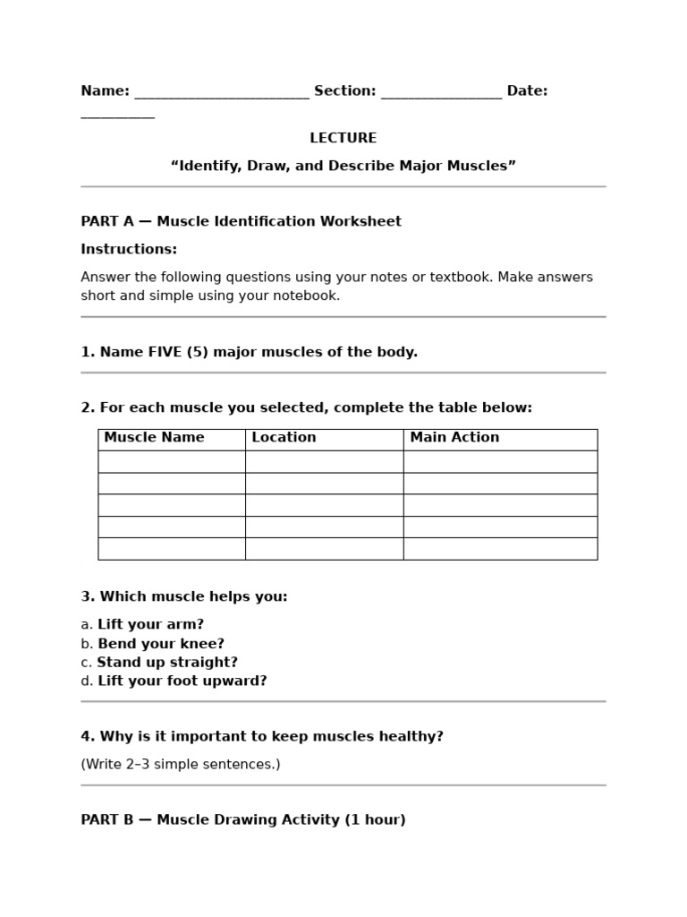 CW Lab Muscular 2025 | PDF