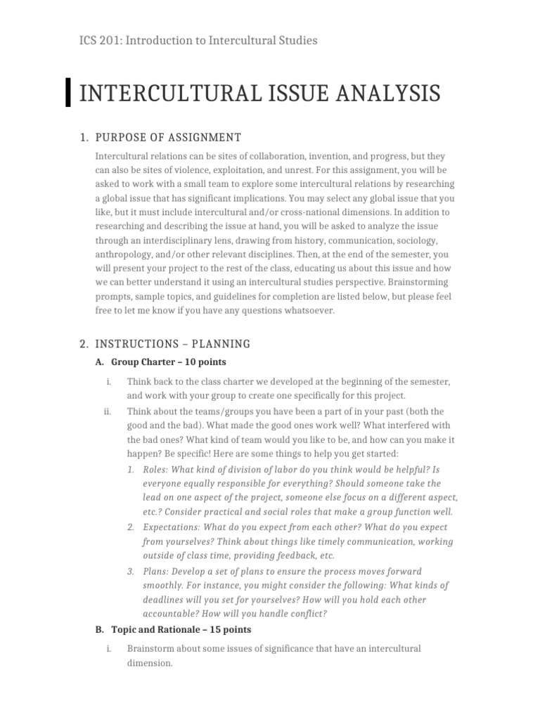 Intercultural Issue Analysis Project Guide | PDF | Interdisciplinarity ...