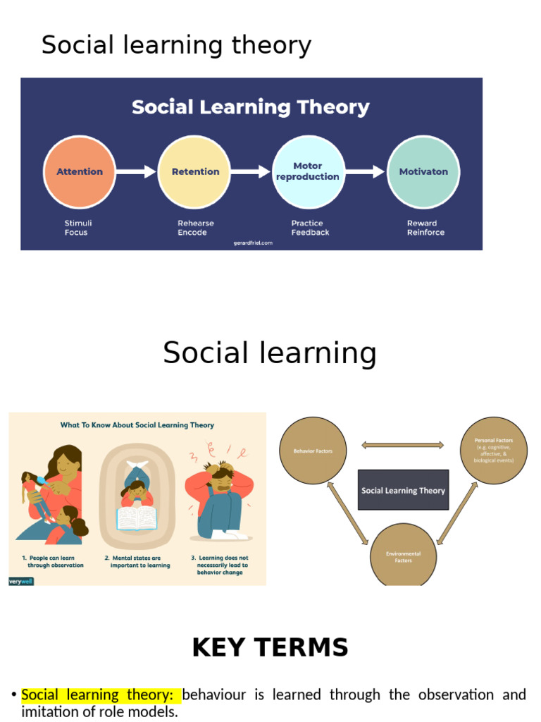 Social Learning Theory | PDF | Twin | Cognitive Science
