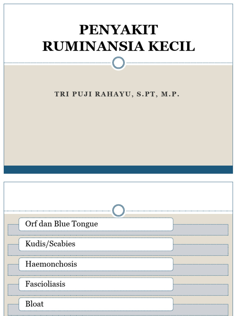 Penyakit Umum pada Ruminansia Kecil | PDF