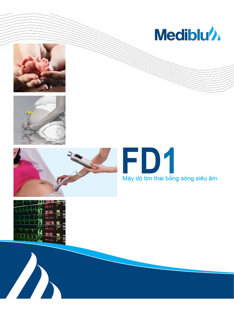 FD1 V 001 Brochure VIE | PDF