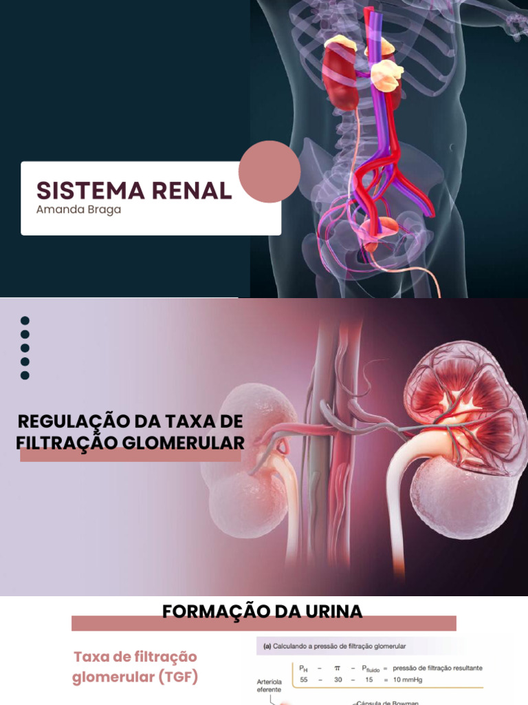 Regulação da Taxa de Filtração Glomerular | PDF