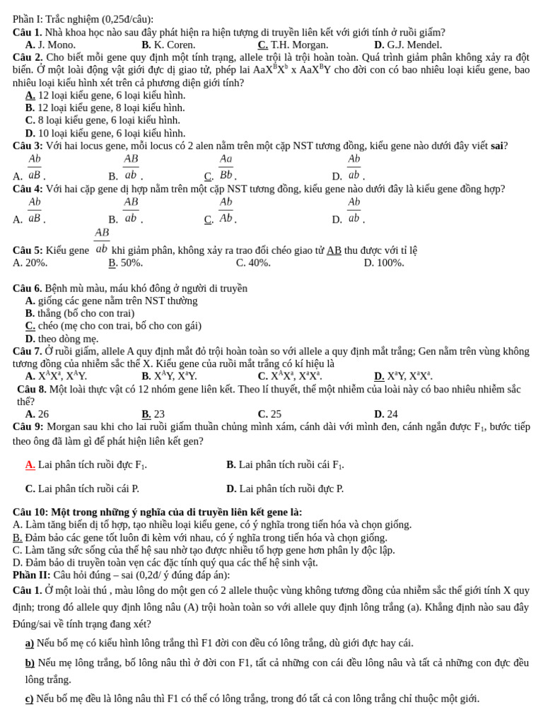 9C2_12 HS | PDF
