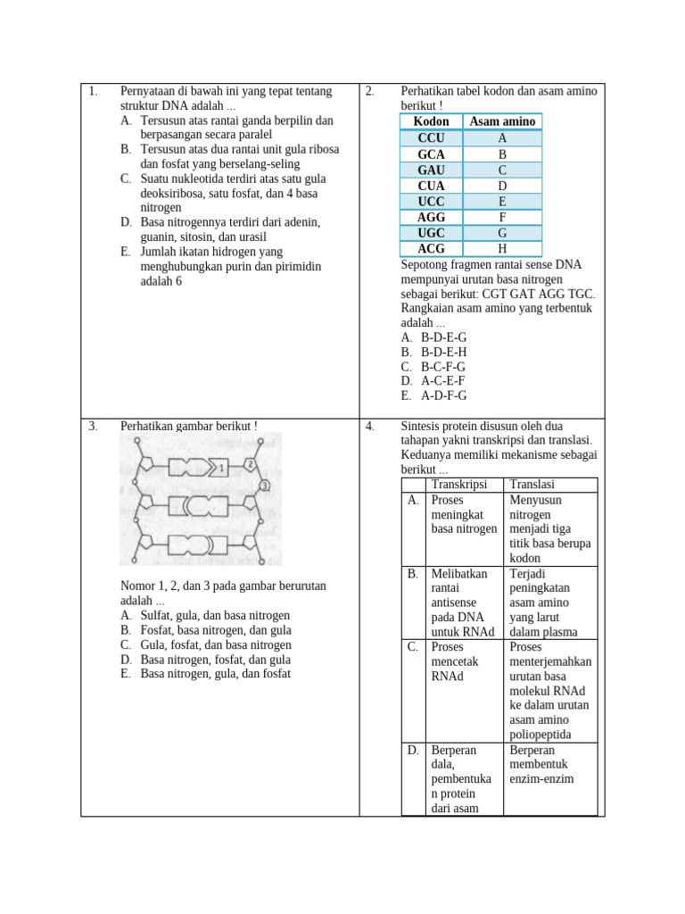 Struktur dan Sintesis DNA serta Protein | PDF