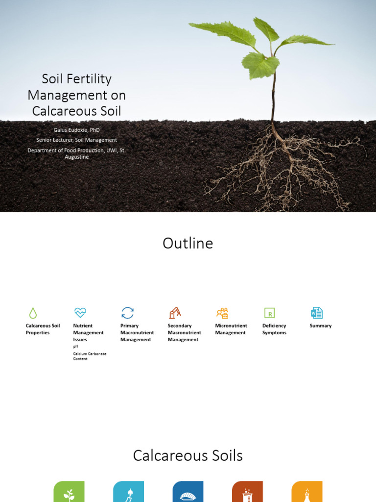 Calcareous Soil Fertility Management | PDF | Soil | Nutrients