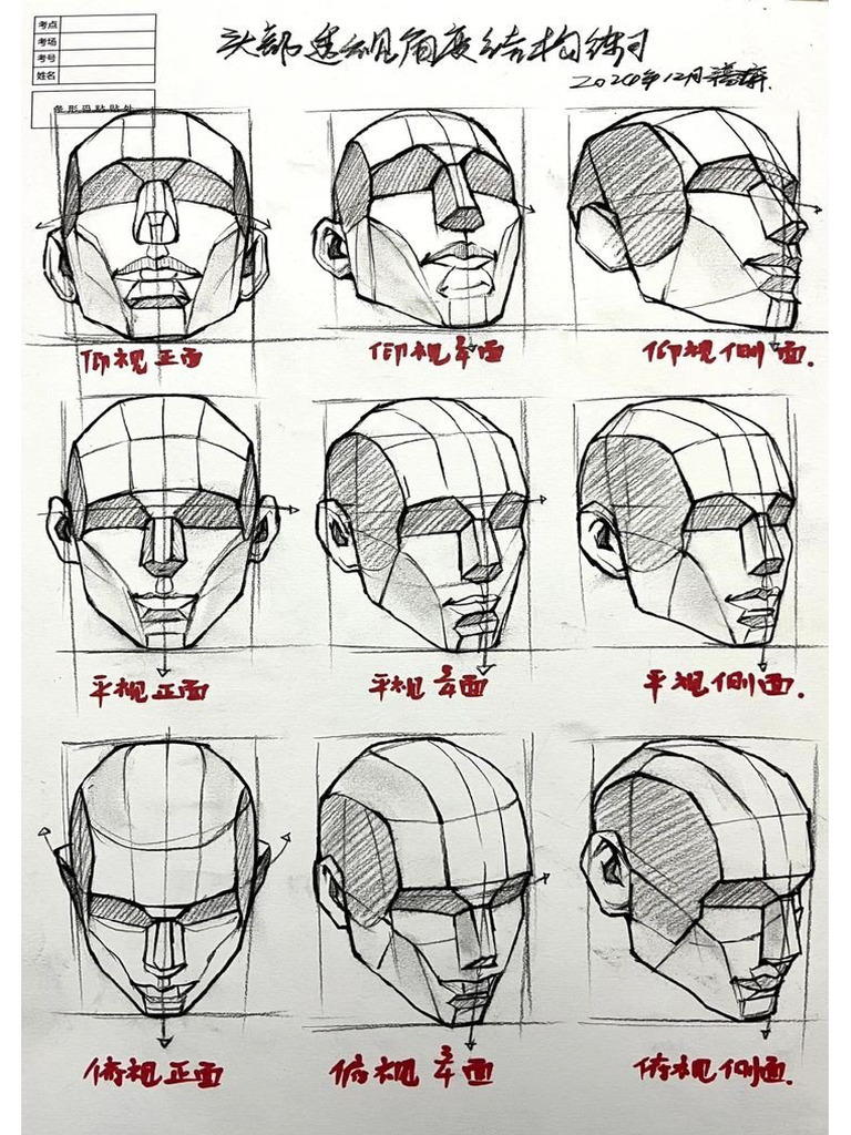 Head Study | PDF