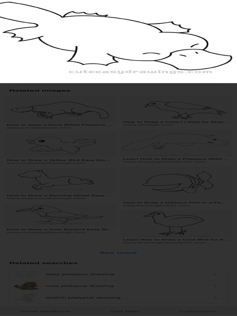 How to Draw a Platypus Step-by-Step | PDF | Birds | Zoology