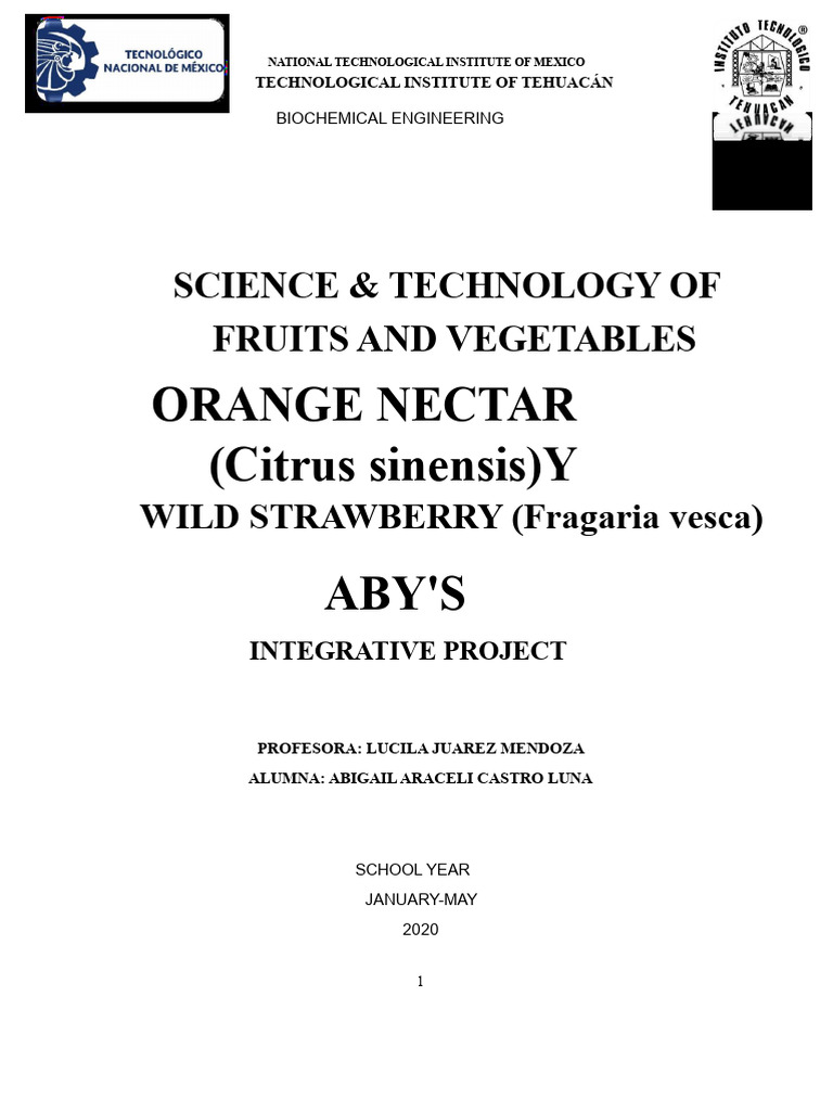 Innovative Project Nectar of Orange and Strawberry. Corrected | PDF ...