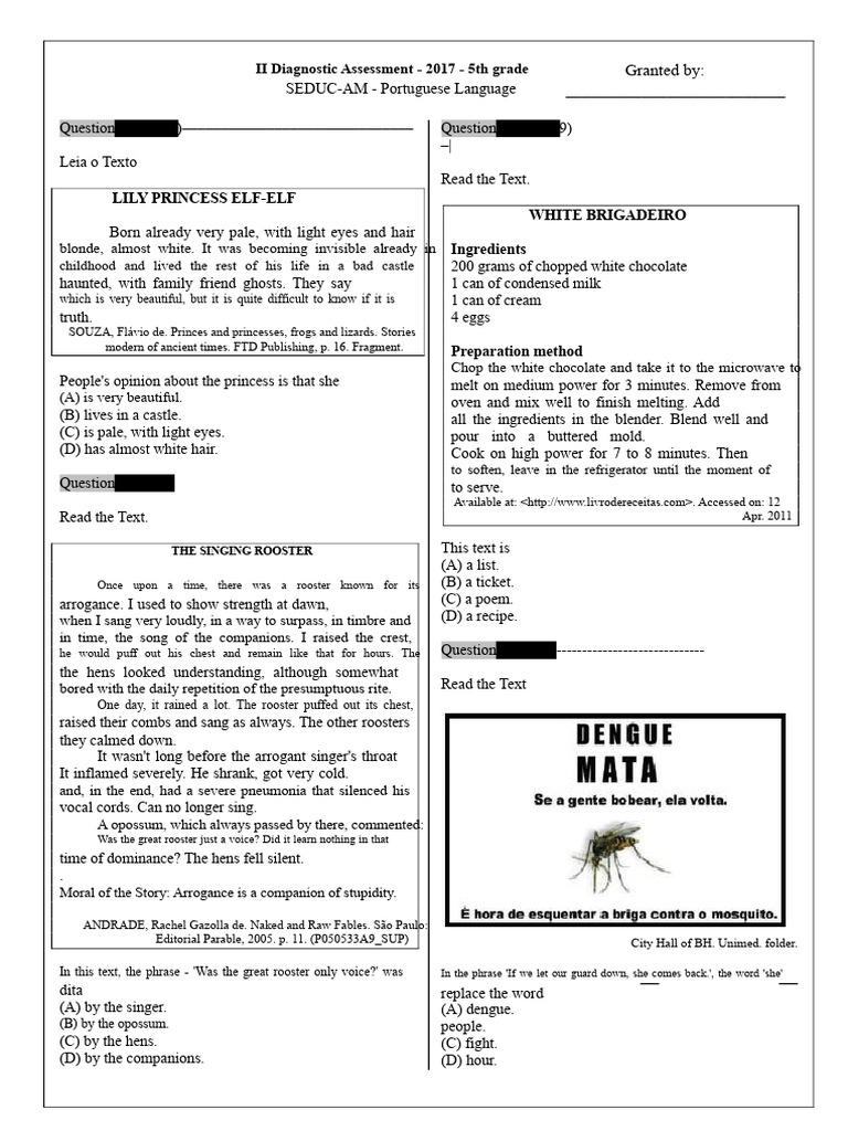 Portuguese Simulations 5th Grade Diagnostic Assessment | PDF