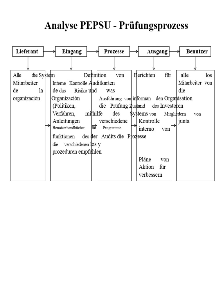PEPSU-Analyse - Auditprozess | PDF