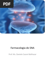 Aula 2 Medicina- SNA Corrigido