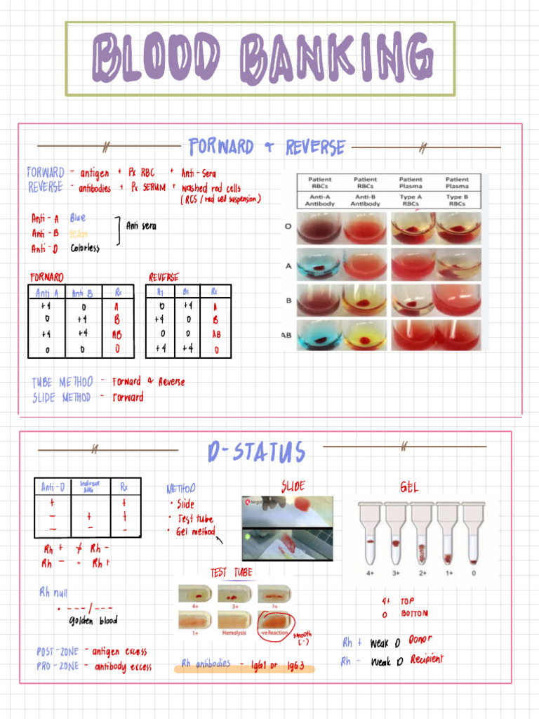 Blood Group Compatibility and Testing Guide | PDF | Blood Type | Animal ...