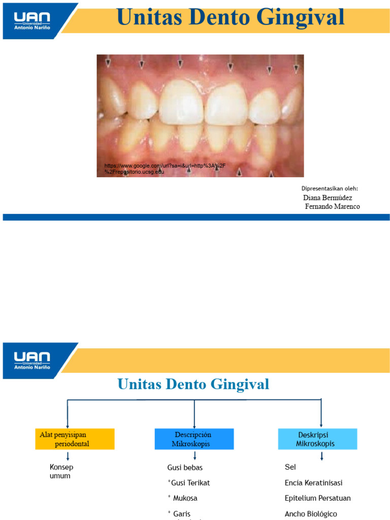 Unitas Dento Gingival | PDF