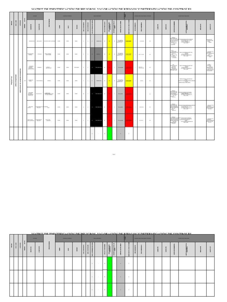 Risk Assessment and Control Matrix | PDF | Risk Assessment | Risk