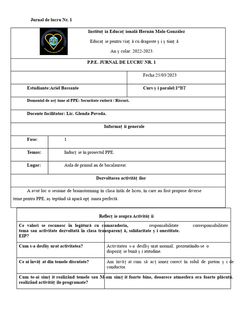 Jurnale de Exemplu | PDF