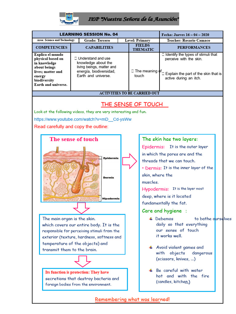 Learning Session N 04 Science | PDF | Skin | Senses