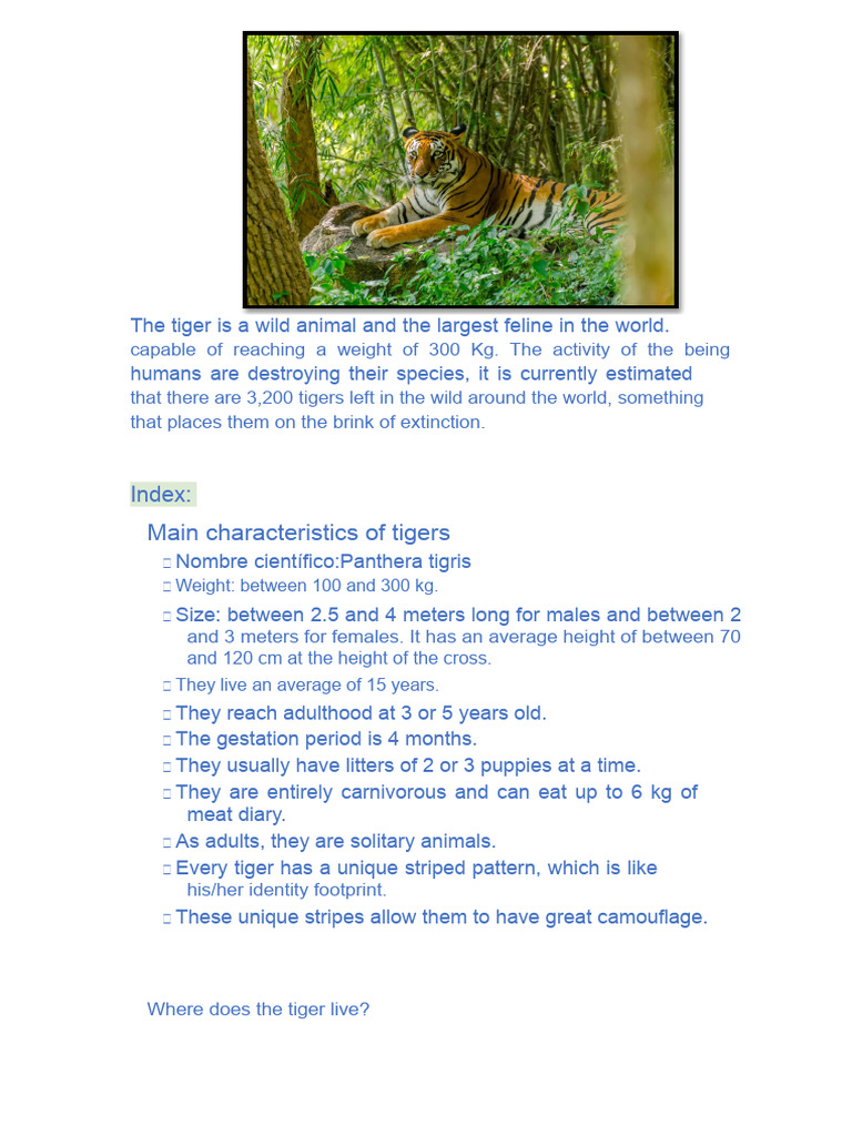 Endangered Tigers: Facts and Conservation | PDF | Tiger | Zoology