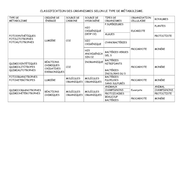 Classification des organismes par métabolisme | PDF | Prokaryota ...