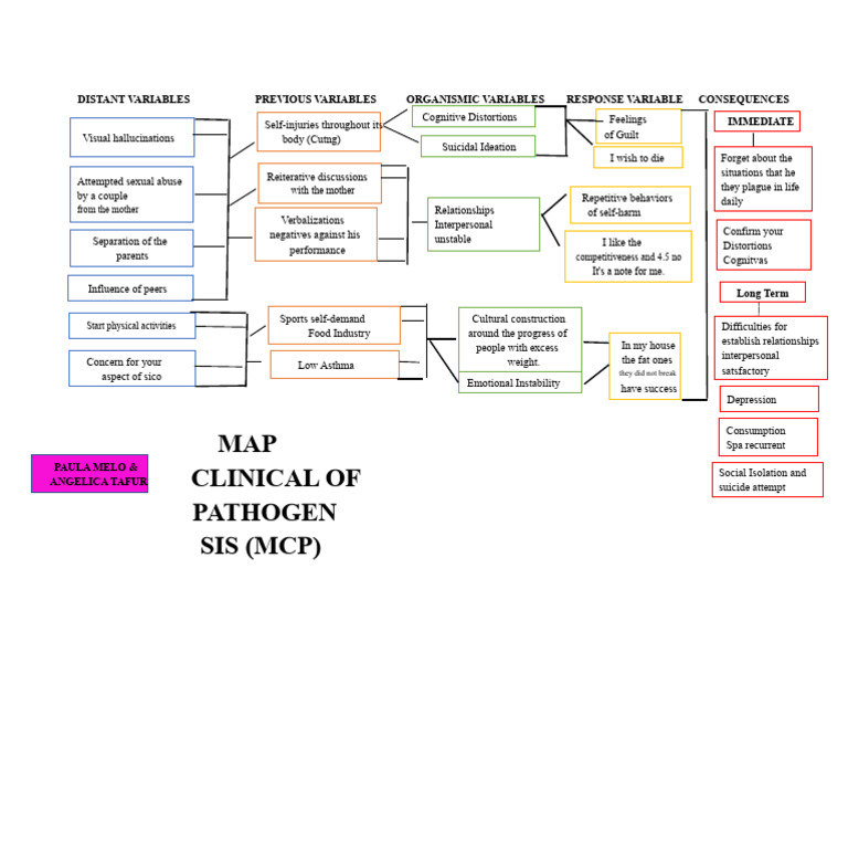 Understanding Cognitive Distortions and Self-Harm | PDF | Self Harm ...