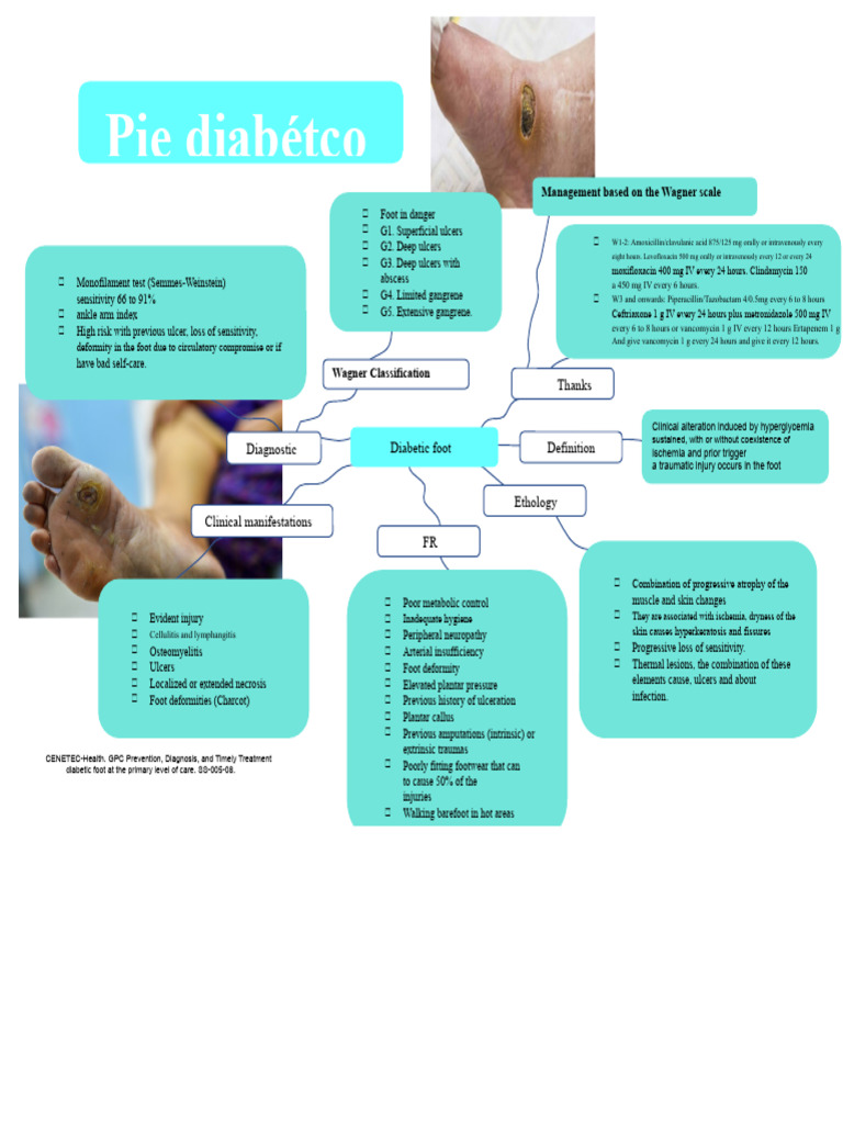 Diabetic Foot | PDF | Medical Specialties | Diseases And Disorders