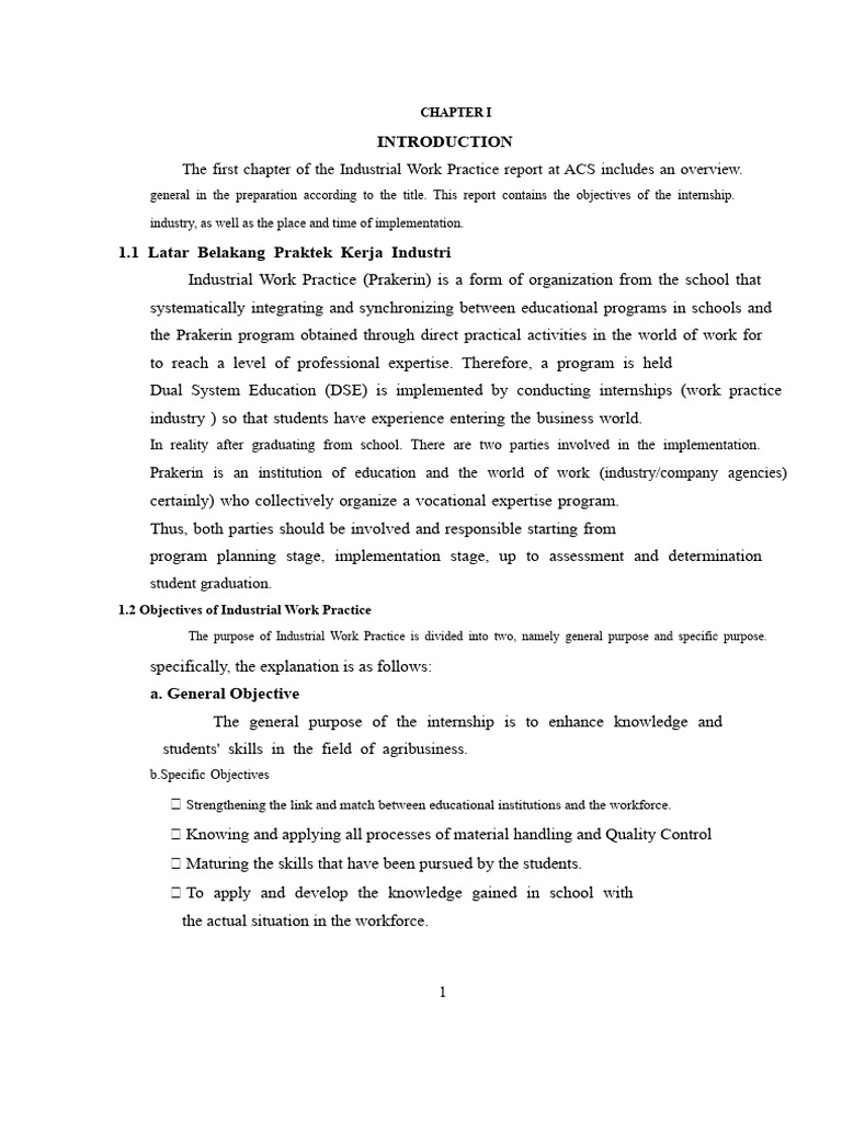 Industrial Work Practice Overview at ACS | PDF | Tableware | Vegetables