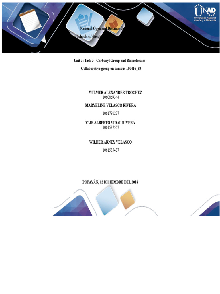 Task 3 - Carbonyl Group and Biomolecules Group - 100416 - 83 PDF | PDF ...