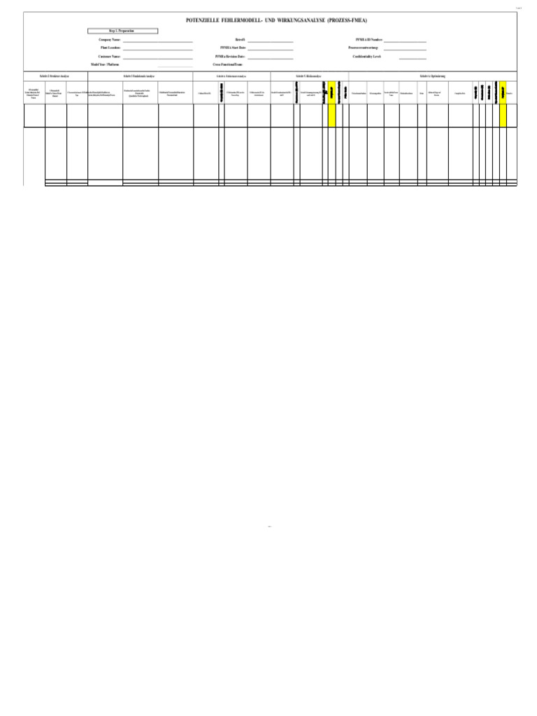 AMEF VDA-Format - Kopie | PDF